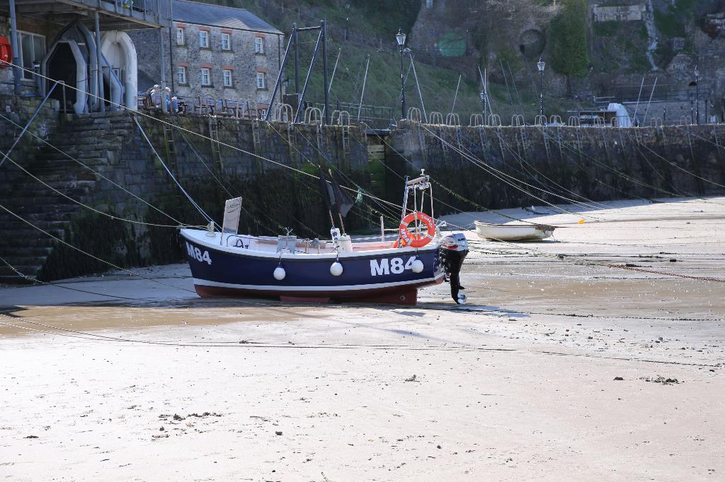 A Q&A with the Marine Conservation Society